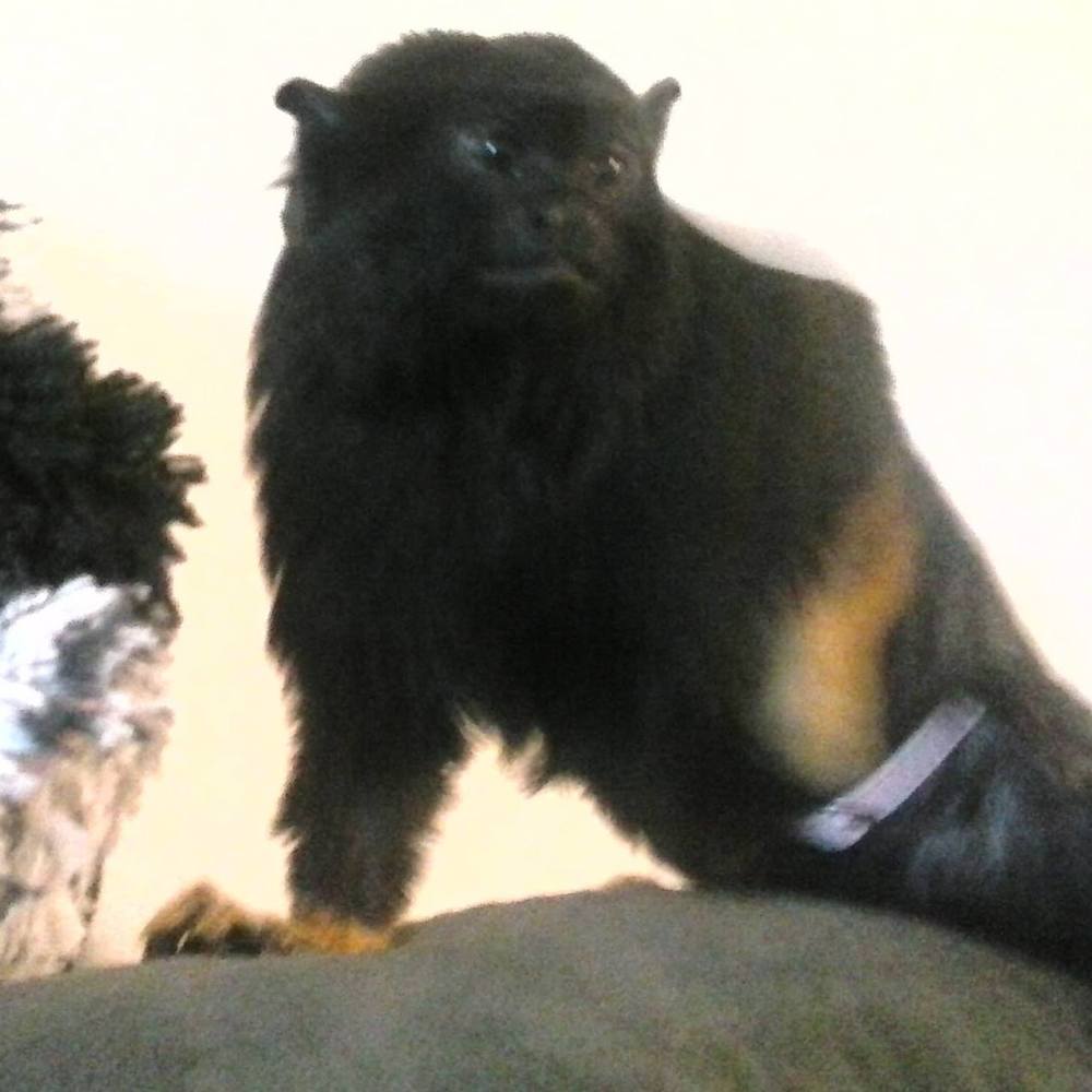 Meet your Posher, Cheryl